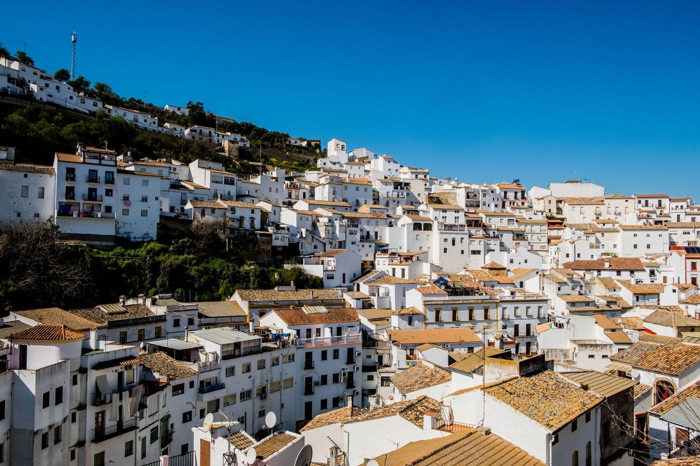 Casas encaladas y azoteas de un barrio andaluz bajo el sol