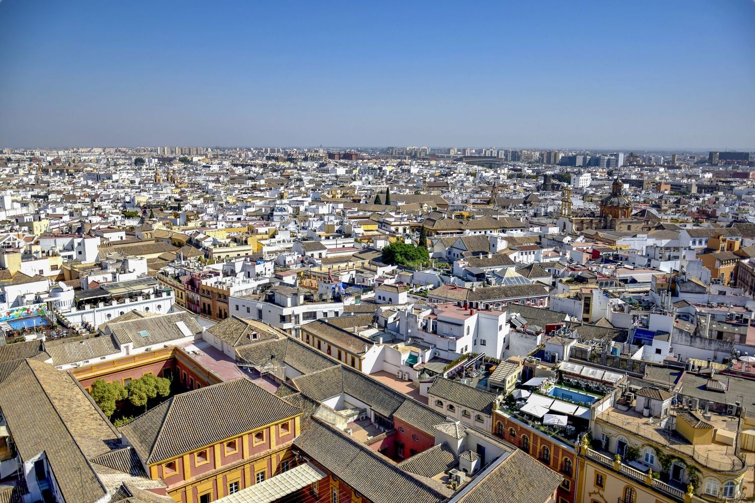 Azoteas y patios del centro de Sevilla vistos desde lo alto